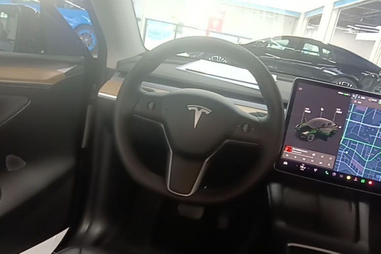 Tesla Model Y 2021 car image #11