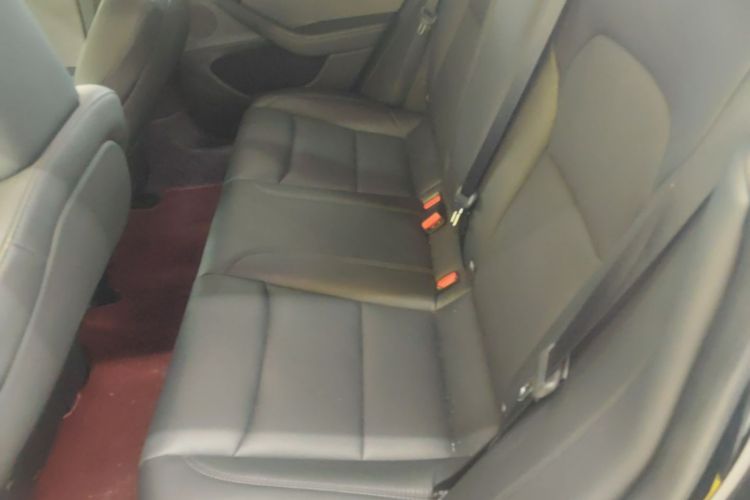 Tesla Model 3 2023 car image #13