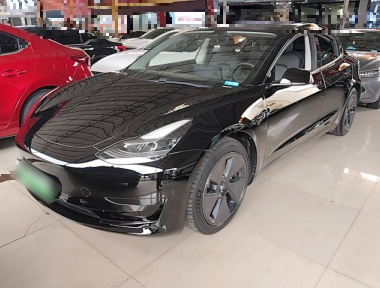 Tesla Model 3 2021 Tesla Model 3 2021 car image