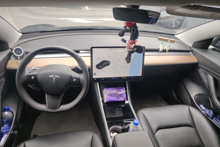 Tesla Model 3 2020 صورة سيارة #11
