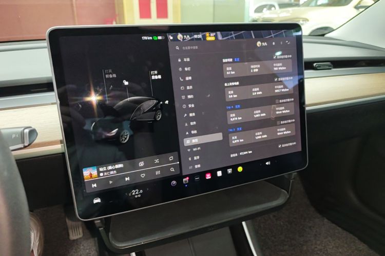 Tesla Model 3 2020 car image #13