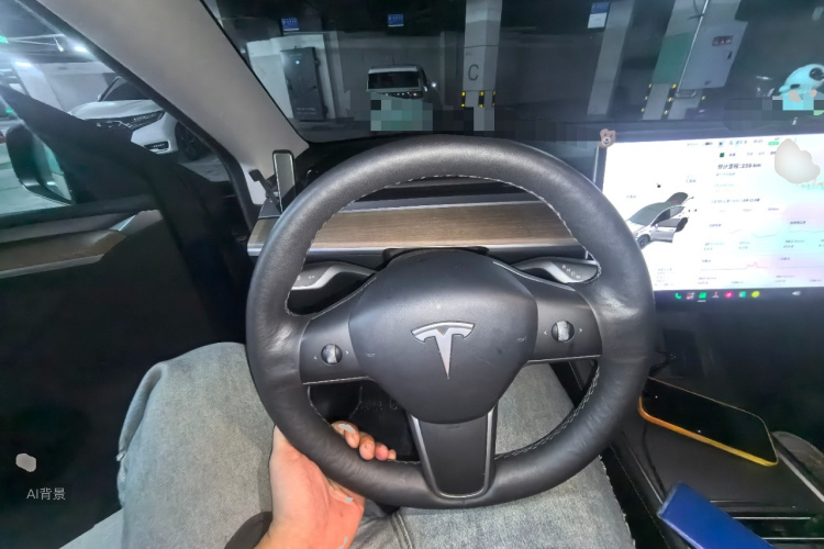 Tesla Model Y 2021 car image #12