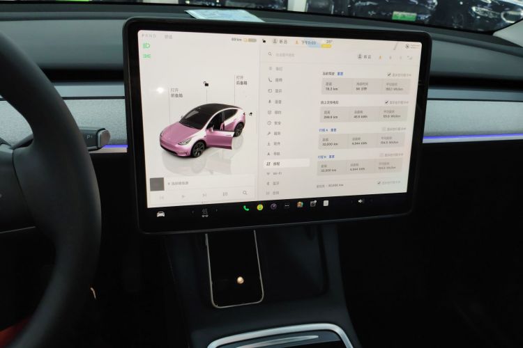 Tesla Model Y 2024 car image #13