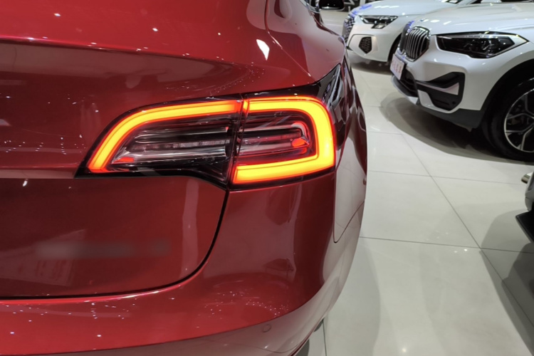 Tesla Model 3 2020 car image #8