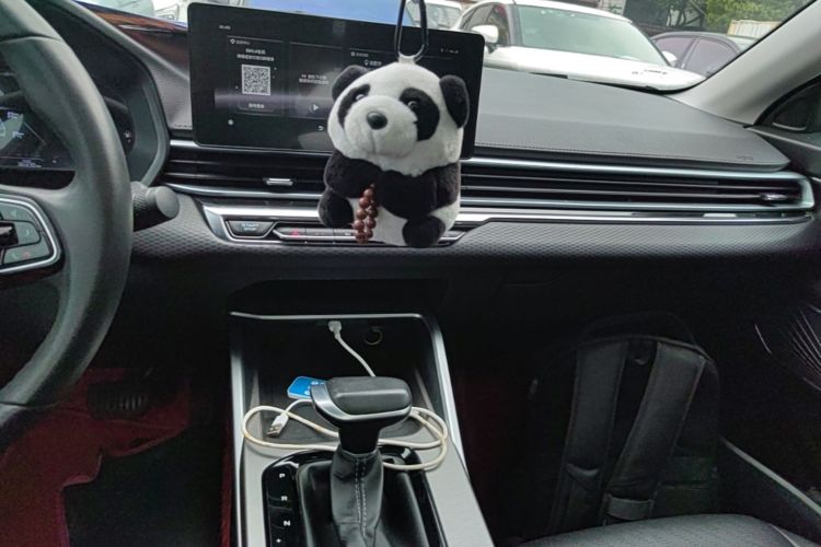 GEELY Emgrand 2021 immagine di auto #13