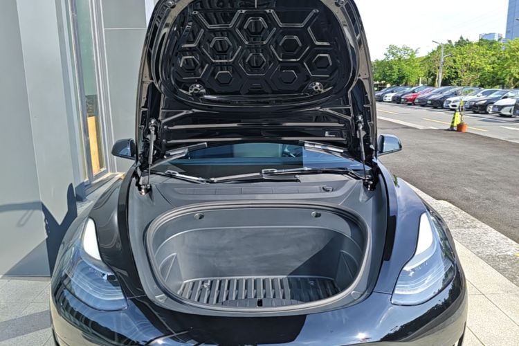 Tesla Model 3 2021 car image #20