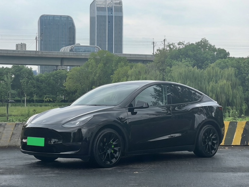 Tesla Model Y 2022 car image 