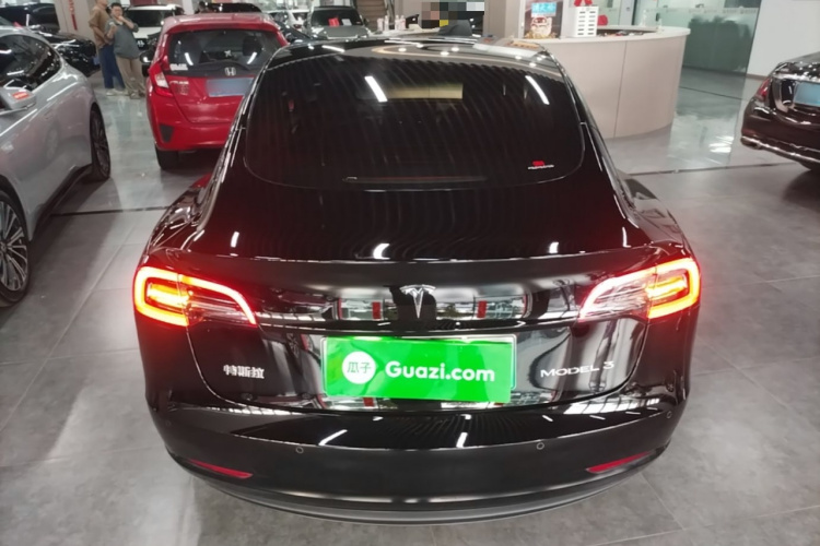 Tesla Model 3 2022 imagem de carro #6