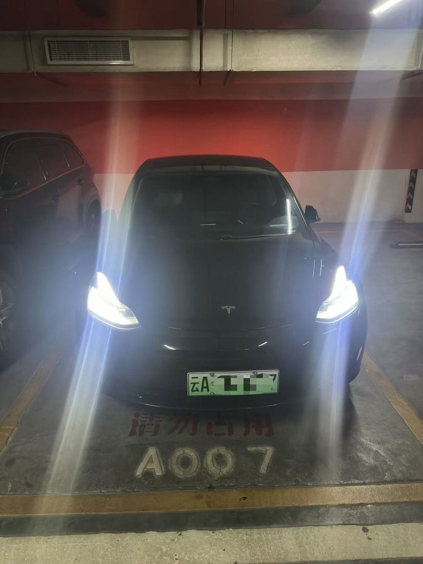 Tesla Model 3 2021 #3 Tesla Model 3 2021 car image #3
