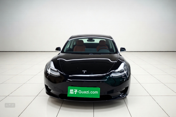 Tesla Model 3 2020 immagine di auto #2