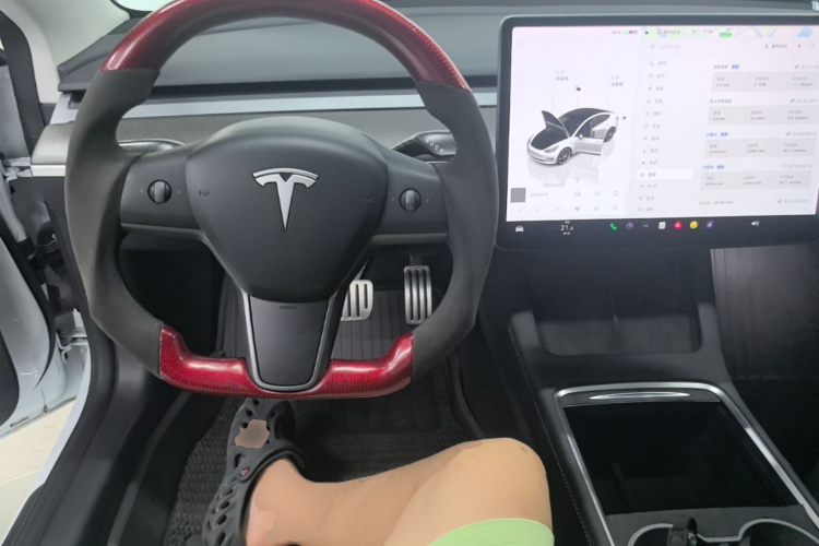 Tesla Model 3 2022 immagine di auto #10