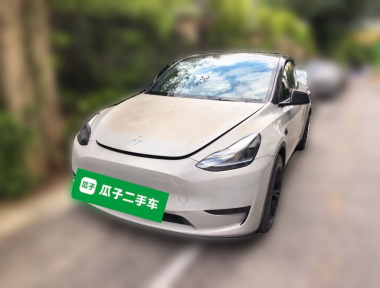Tesla Model Y 2022 car image 