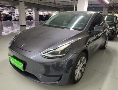 Tesla Model Y 2022 Tesla Model Y 2022 car image
