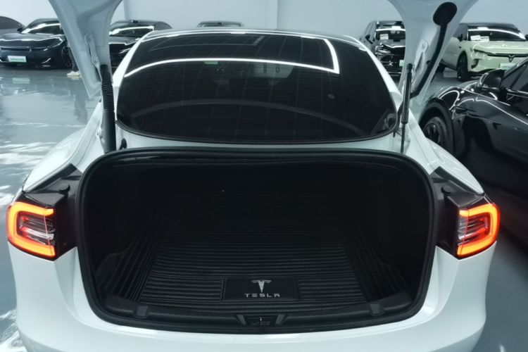 Tesla Model 3 2021 #19 Tesla Model 3 2021 car image #19