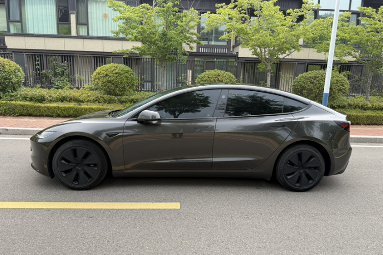 Tesla Model 3 2023 immagine di auto #6