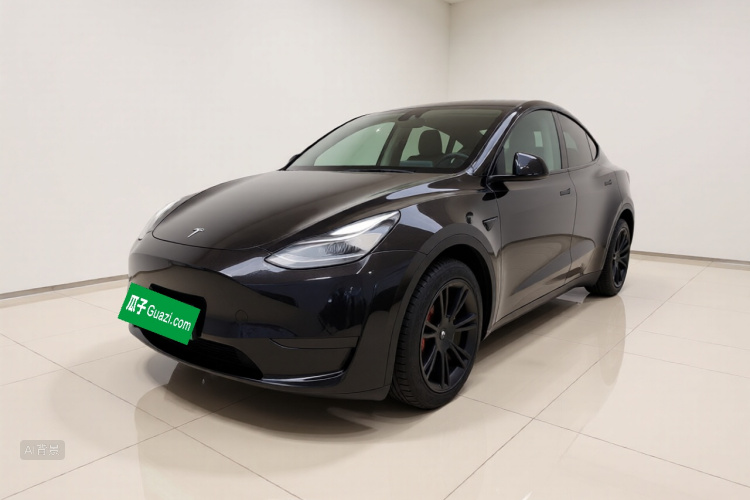 Tesla Model Y 2021 #2 Tesla Model Y 2021 car image #2