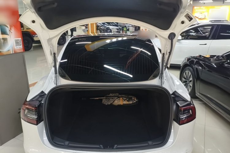 Tesla Model 3 2020 #19 Tesla Model 3 2020 car image #19