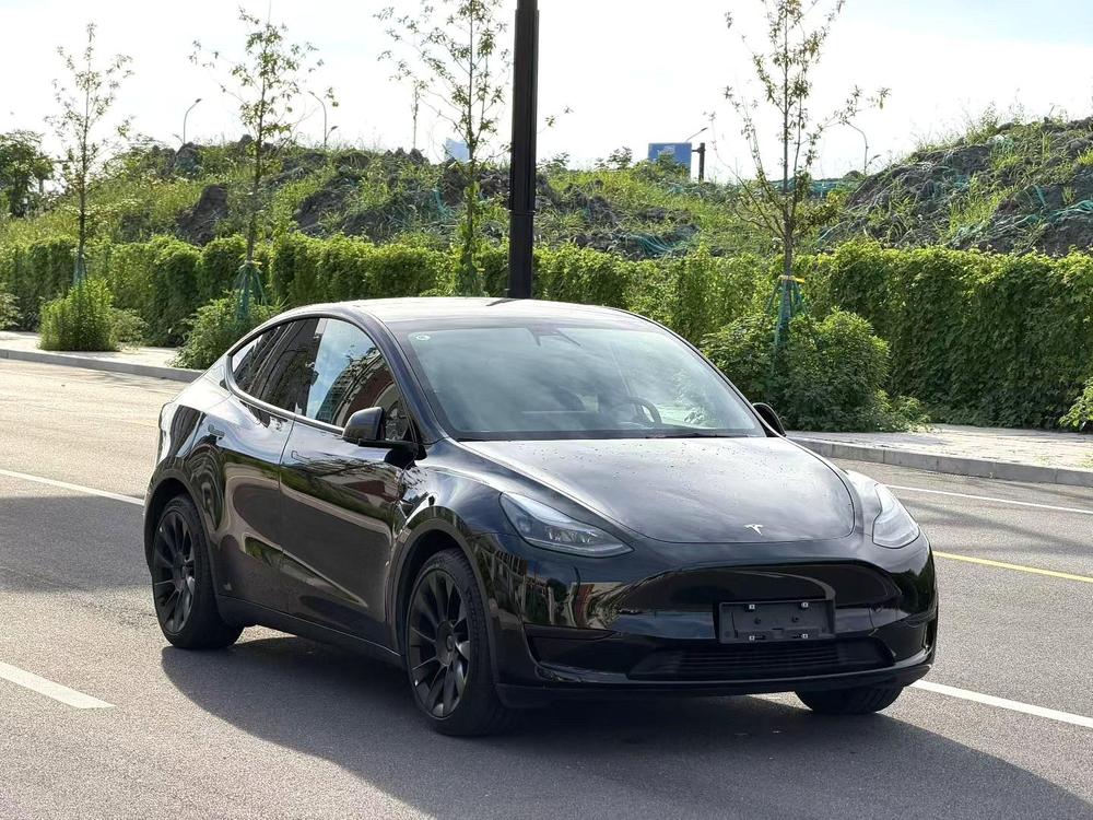 Tesla Model Y 2021 #3 Tesla Model Y 2021 car image #3