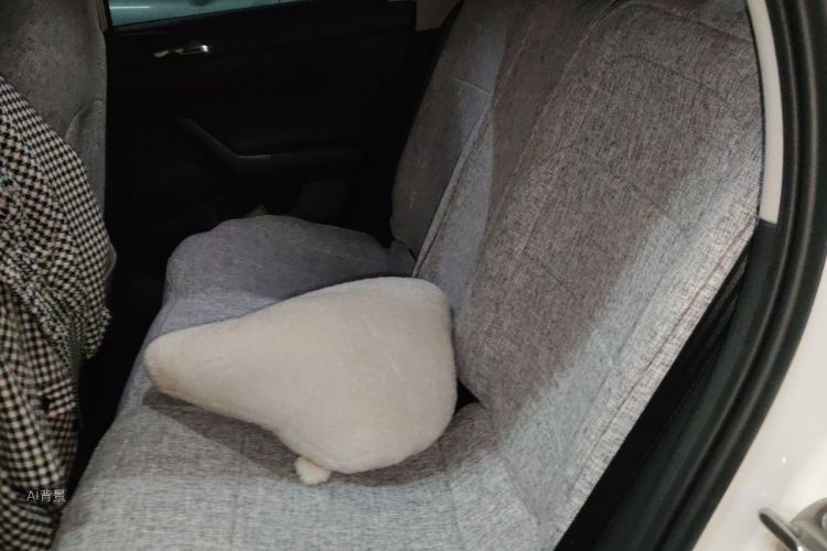 Volkswagen Polo 2019 car image #19