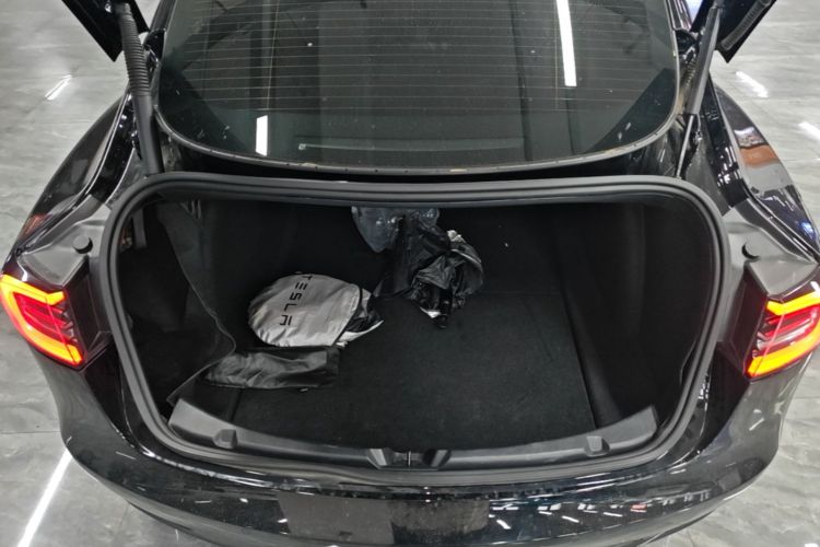Tesla Model 3 2021 car image #19