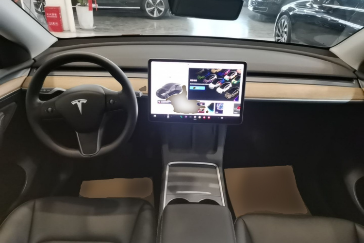 Tesla Model Y 2021 car image #10