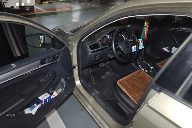 Volkswagen Bora 2018 car image #18