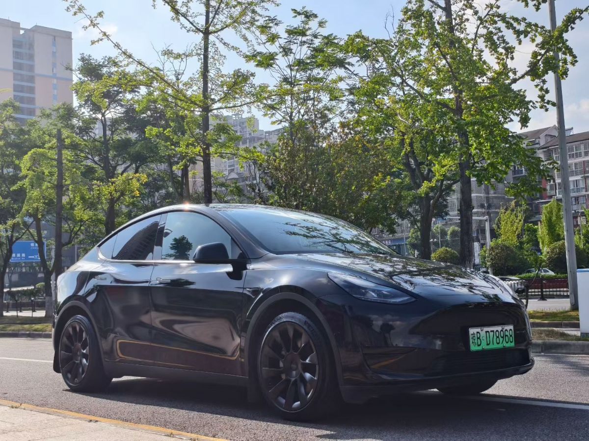 Tesla Model Y 2022 car image #3