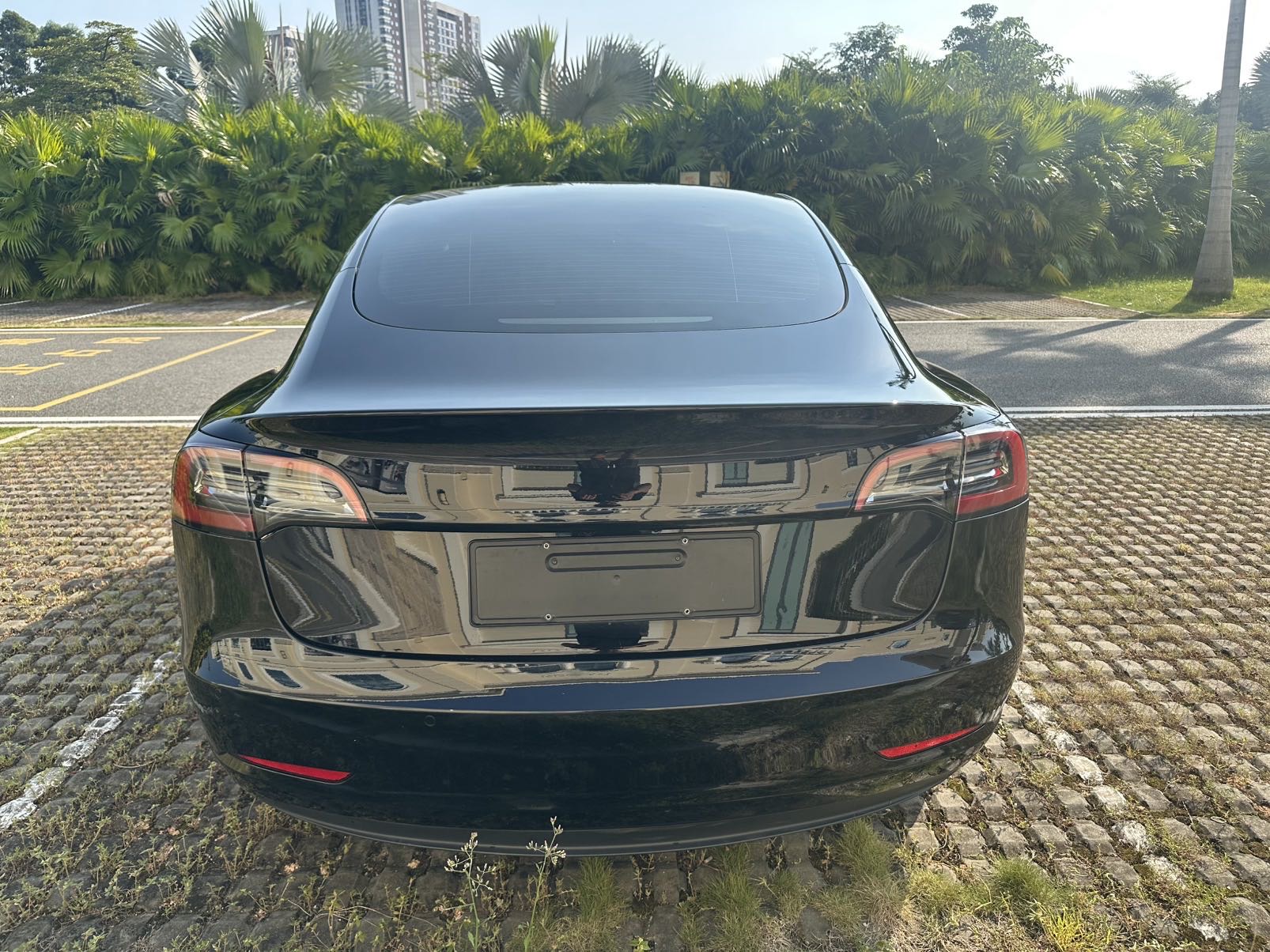Tesla Model 3 2021 #8 Tesla Model 3 2021 car image #8