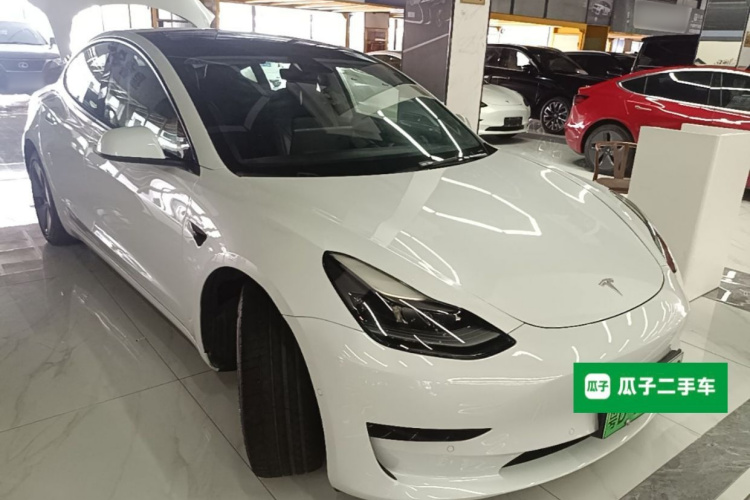 Tesla Model 3 2021 #4 Tesla Model 3 2021 car image #4