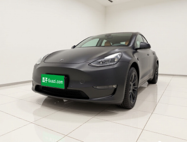 Tesla Model Y 2023 car image 
