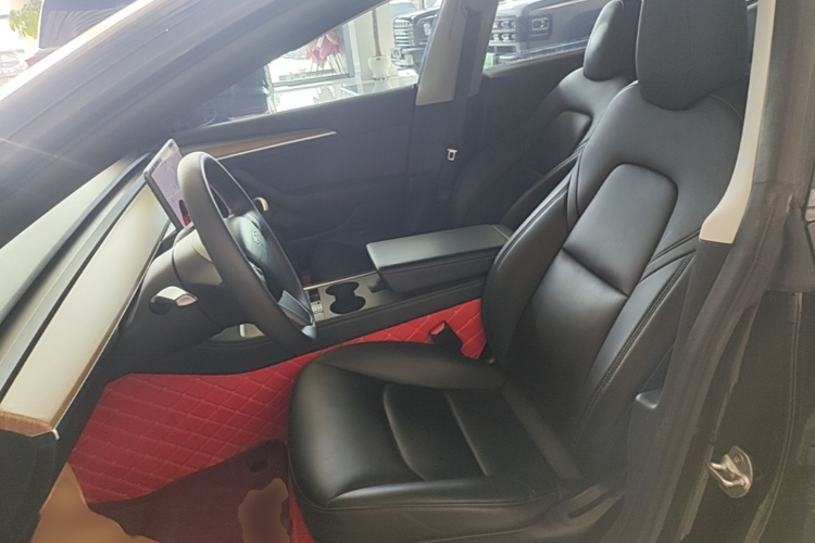 Tesla Model 3 2021 car image #15