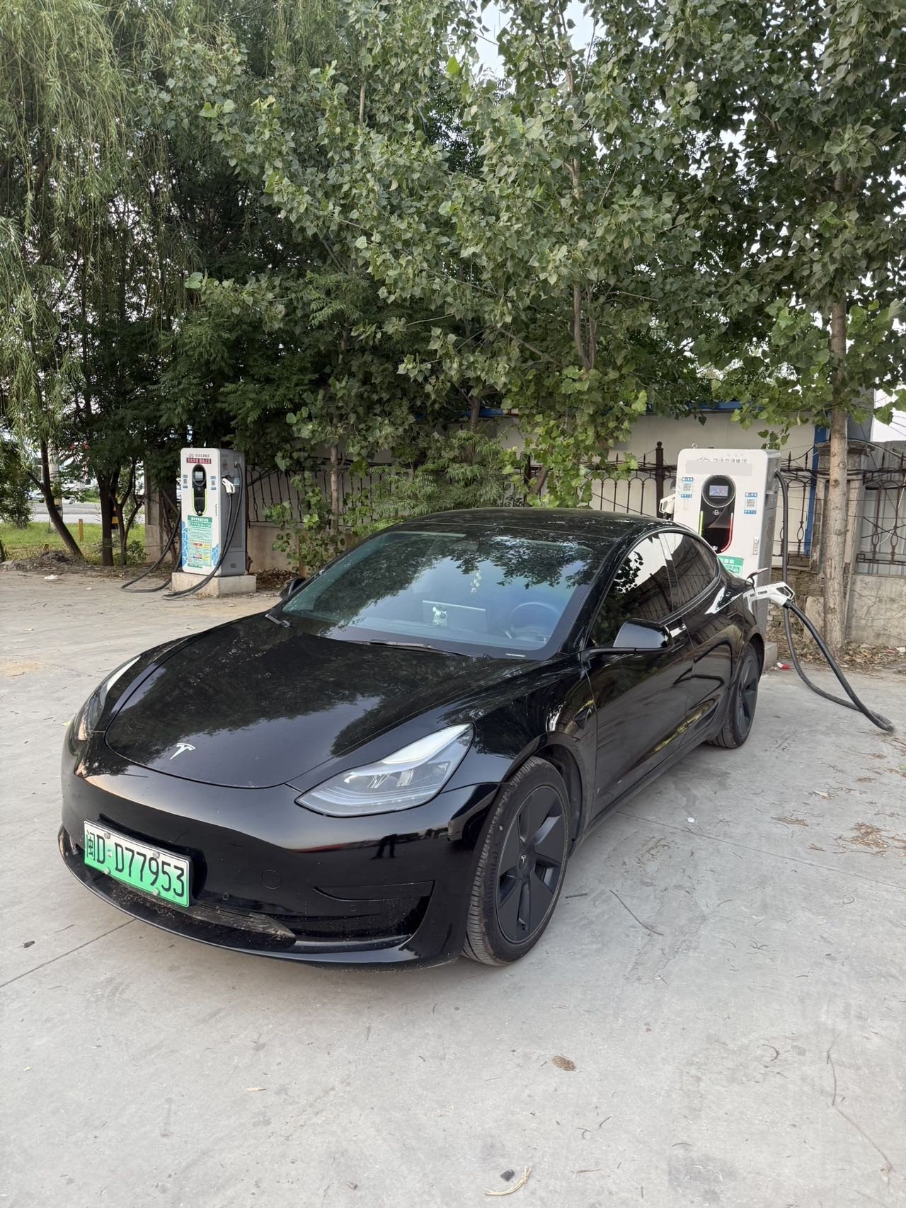 Tesla Model 3 2021 immagine di auto 