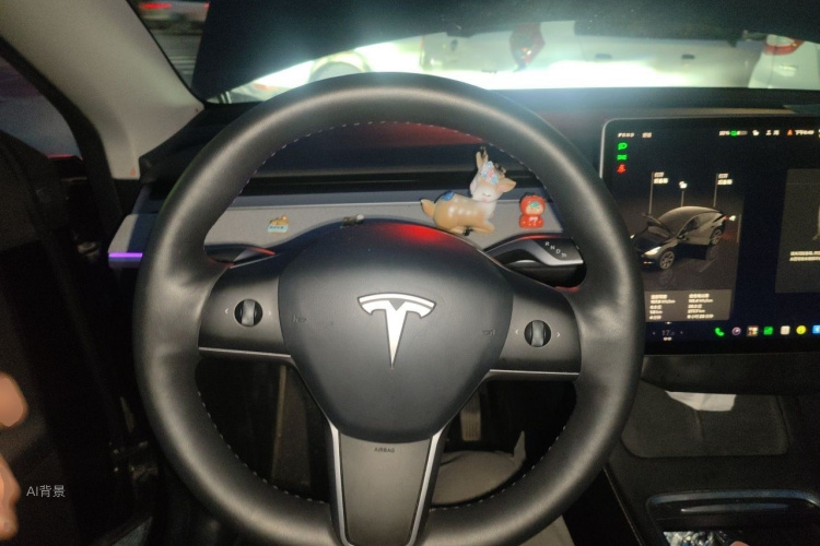 Tesla Model Y 2023 #12 Tesla Model Y 2023 car image #12