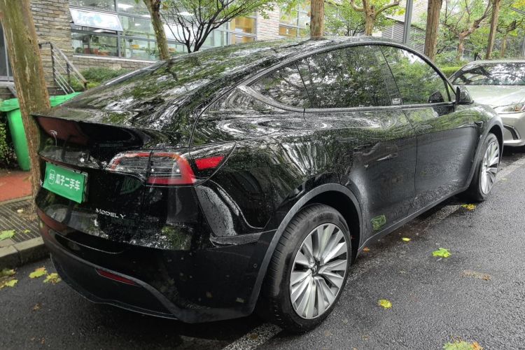 Tesla Model Y 2024 immagine di auto #5