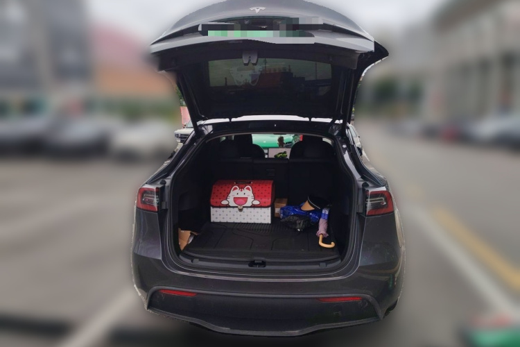 Tesla Model Y 2022 #17 Tesla Model Y 2022 car image #17