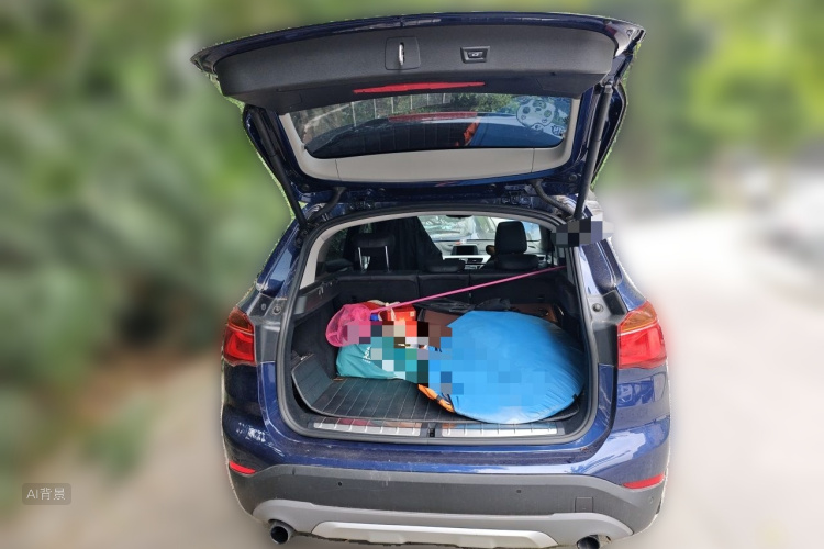 BMW X1 2016 car image #21