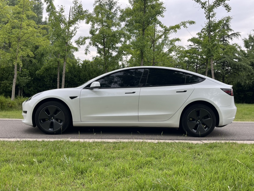 Tesla Model 3 2023 #4 Tesla Model 3 2023 car image #4