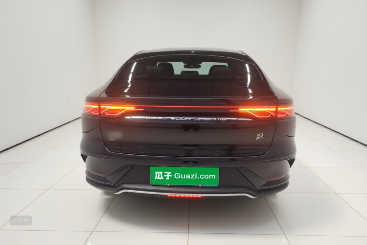 BYD Han 2024 car image #6