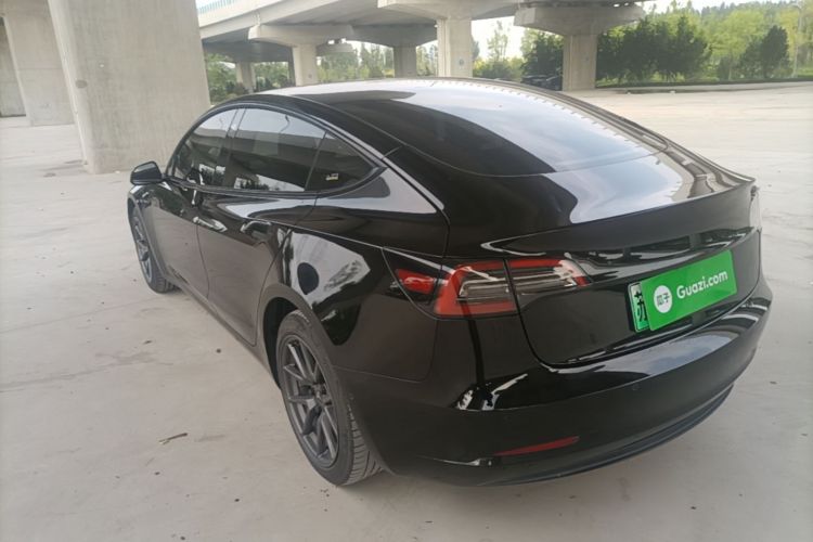 Tesla Model 3 2021 #5 Tesla Model 3 2021 car image #5