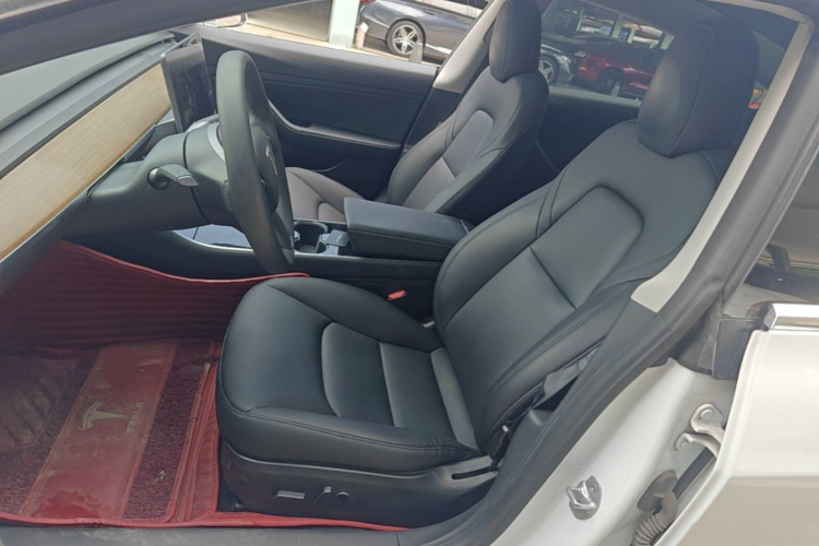 Tesla Model 3 2020 car image #19