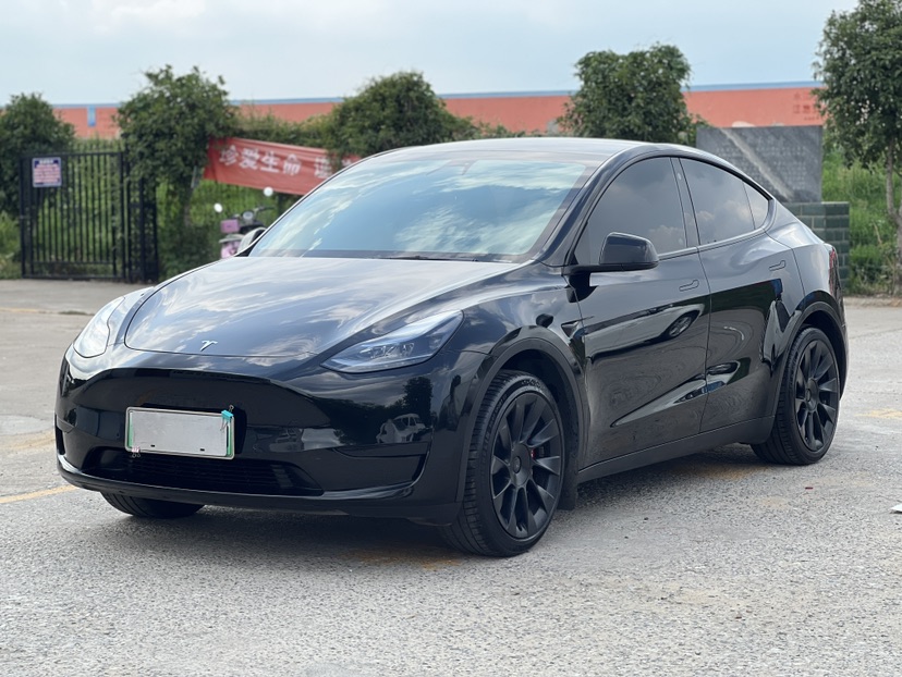 Tesla Model Y 2023 Tesla Model Y 2023 car image