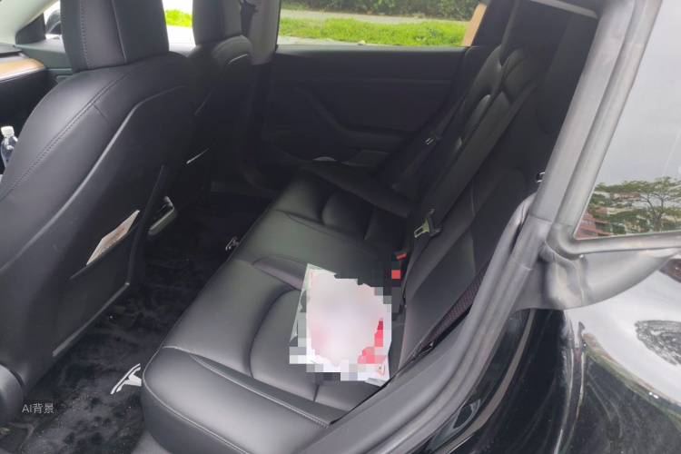 Tesla Model 3 2020 immagine di auto #19