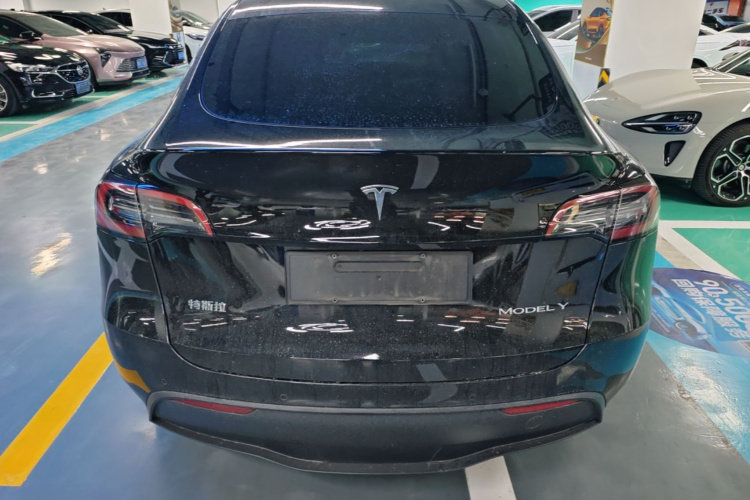 Tesla Model Y 2023 car image #6