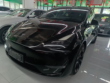 Tesla Model Y 2021 immagine di auto 