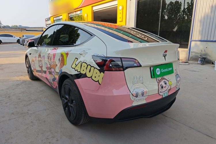 Tesla Model Y 2021 car image #5