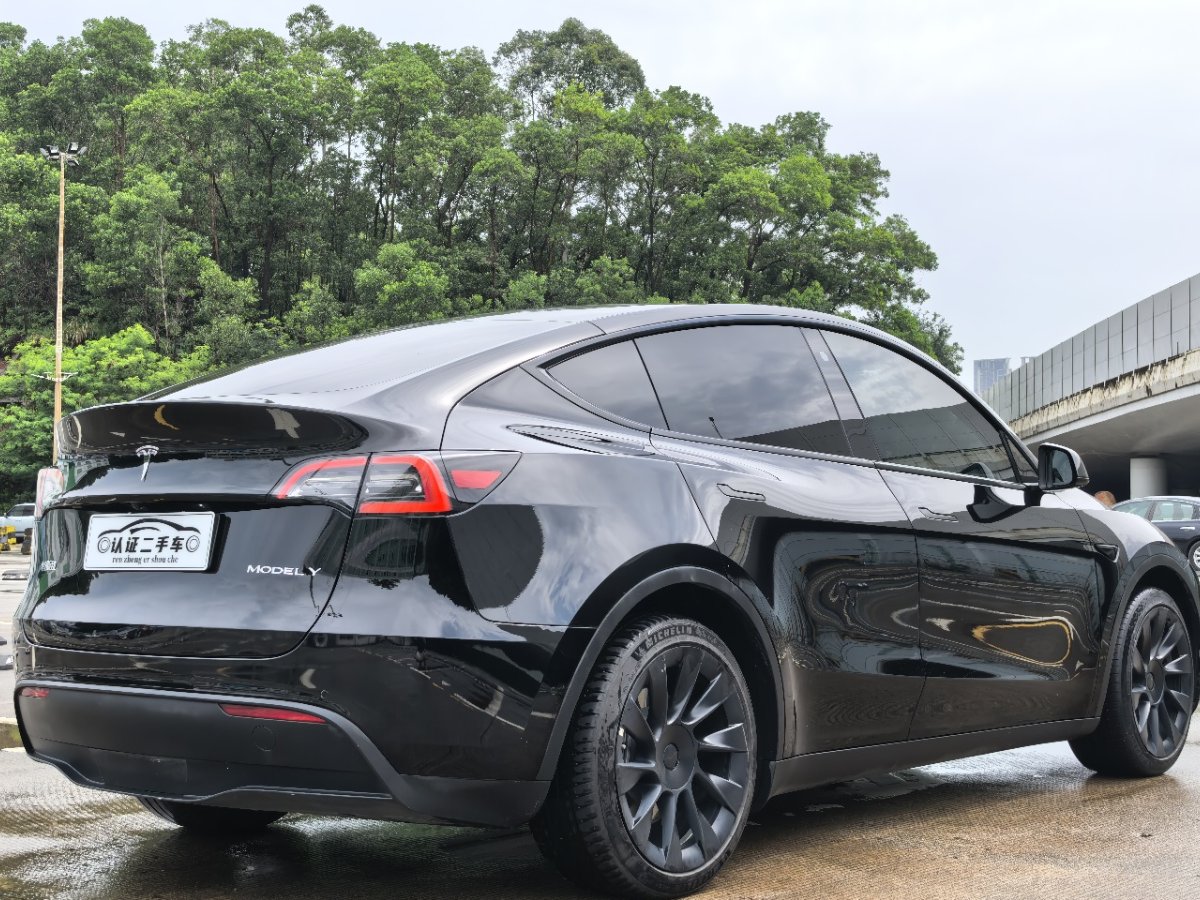 Tesla Model Y 2022 car image #10