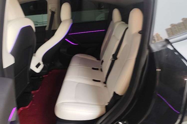 Tesla Model Y 2021 car image #17