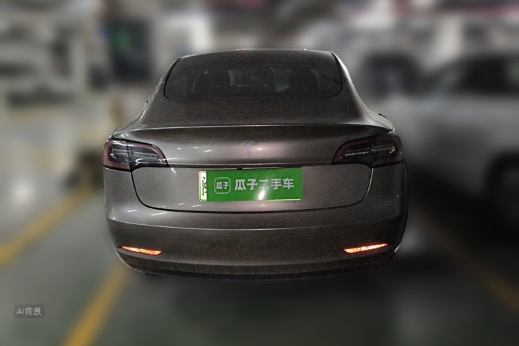 Tesla Model 3 2022 car image #6
