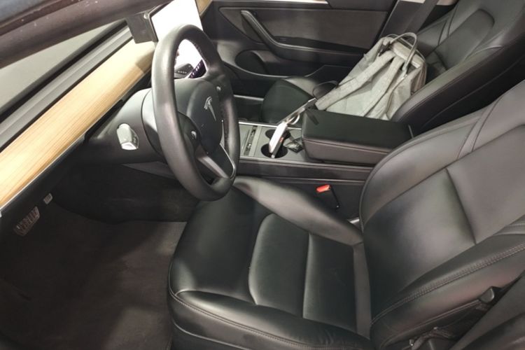 Tesla Model 3 2021 car image #19