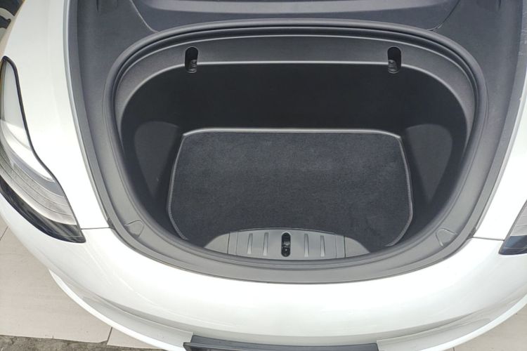 Tesla Model 3 2020 car image #18